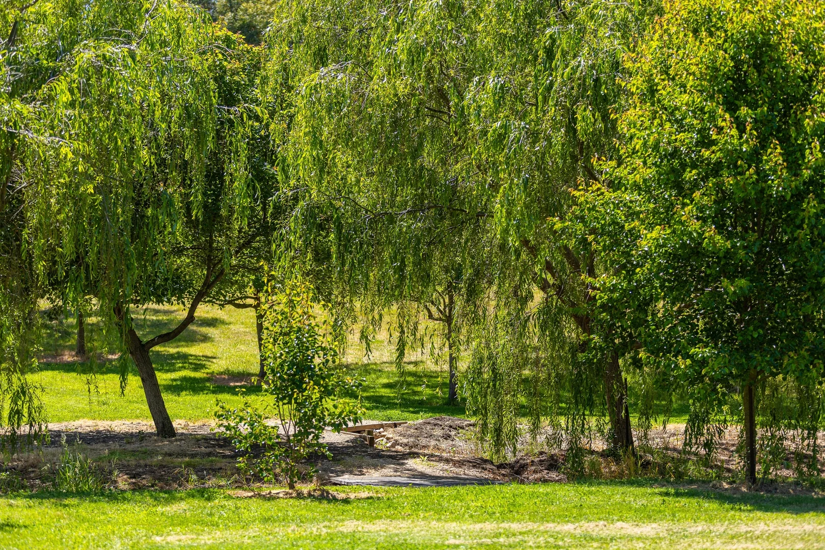 Additional image 22 of 2150 Mornington-Flinders Road, Flinders VIC 3929