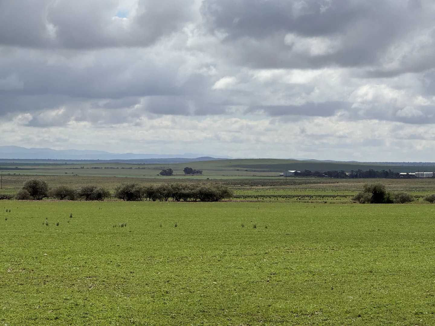 Additional image 6 of Redgum Road, Willowie SA 5431