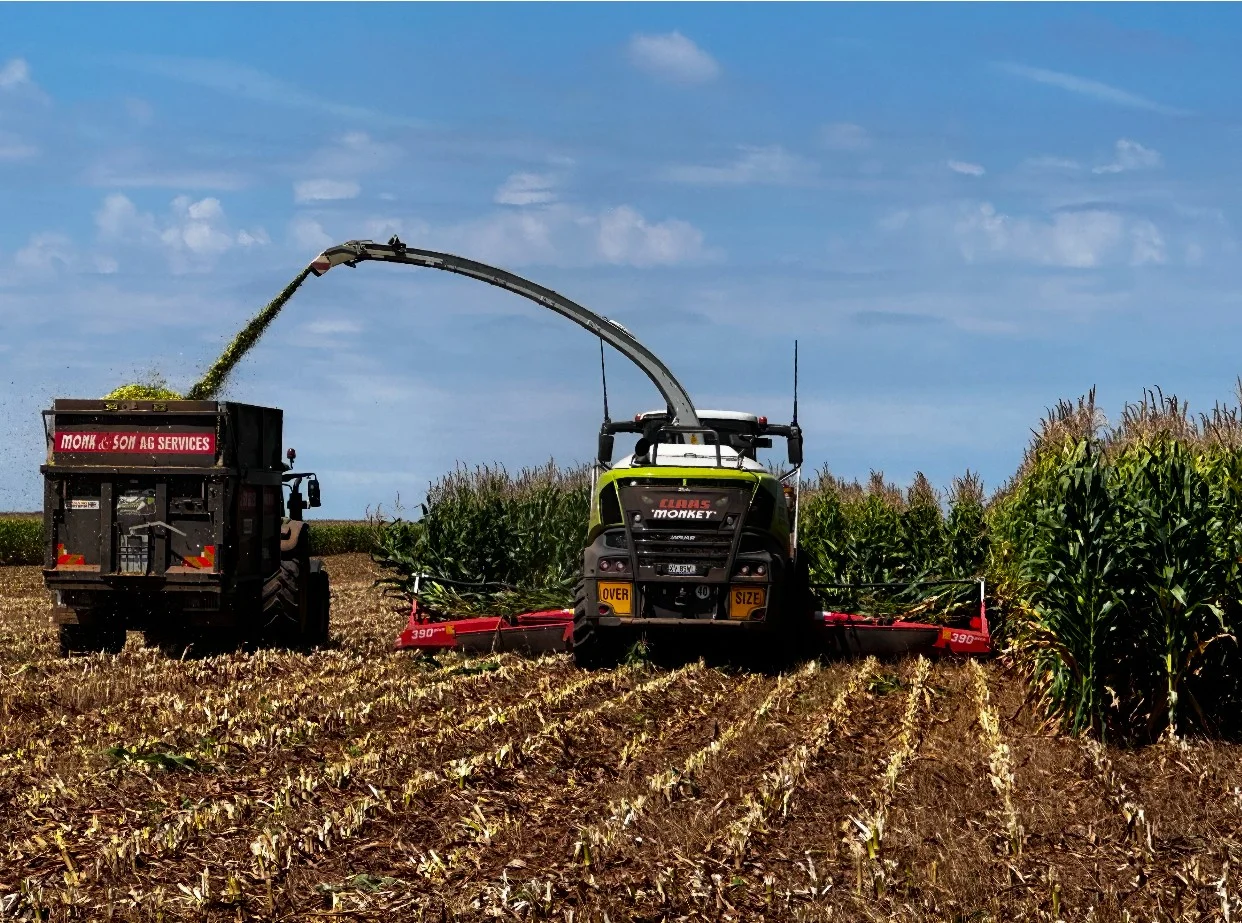 Additional image 8 of 229 Elliots Lane, Forbes NSW 2871