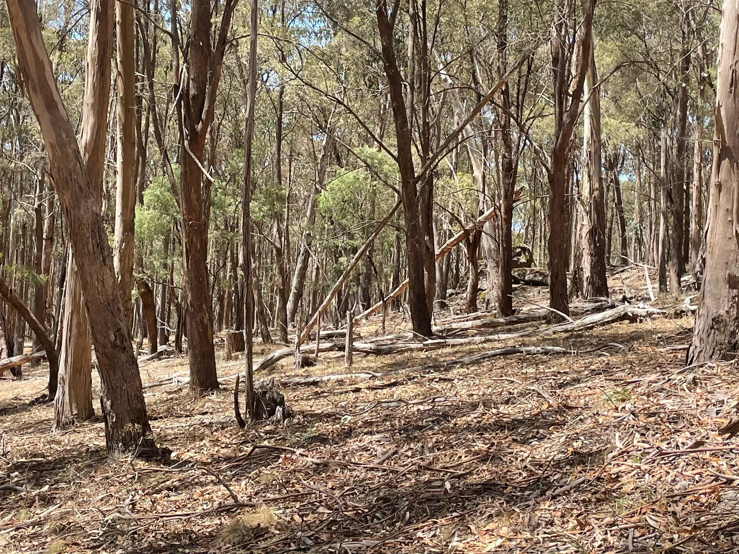 Additional image 11 of Strathbogie VIC 3666