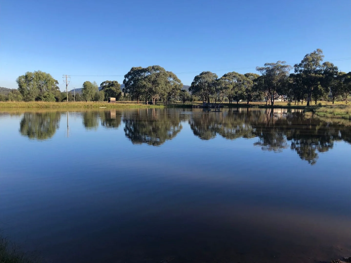 Additional image 60 of 207 Redmanvale Road, Jerrys Plains NSW 2330