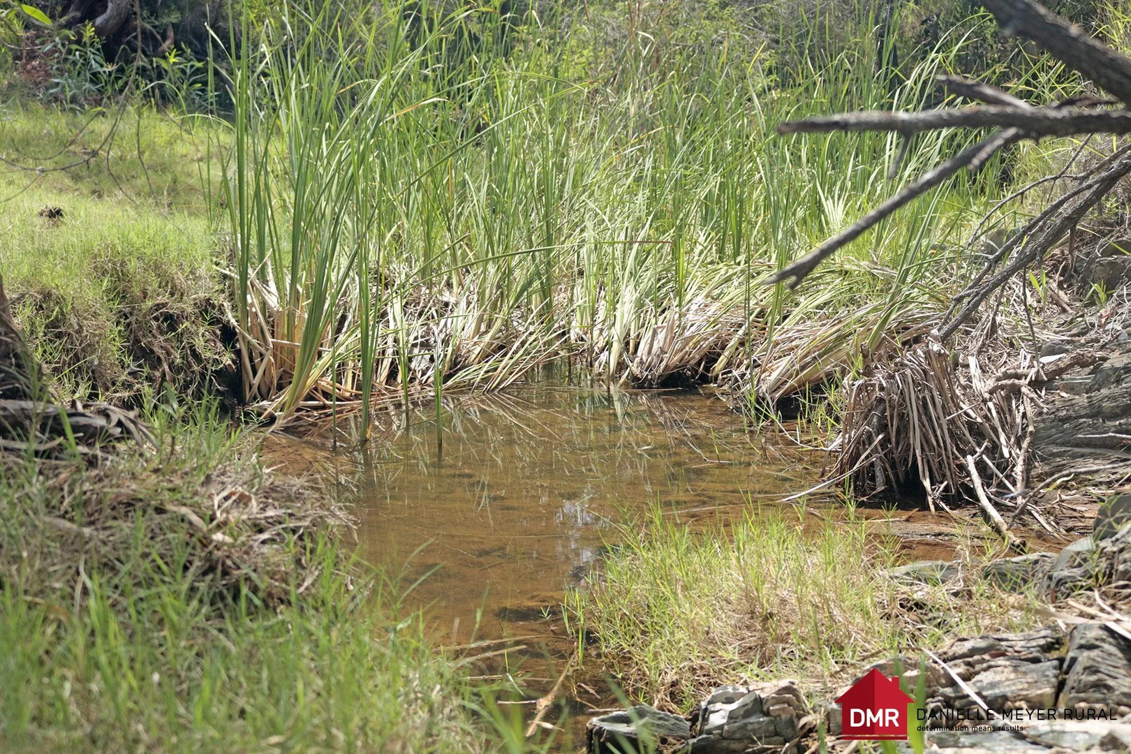 Additional image 18 of 205 Dempsters Road,, Binjour QLD 4625