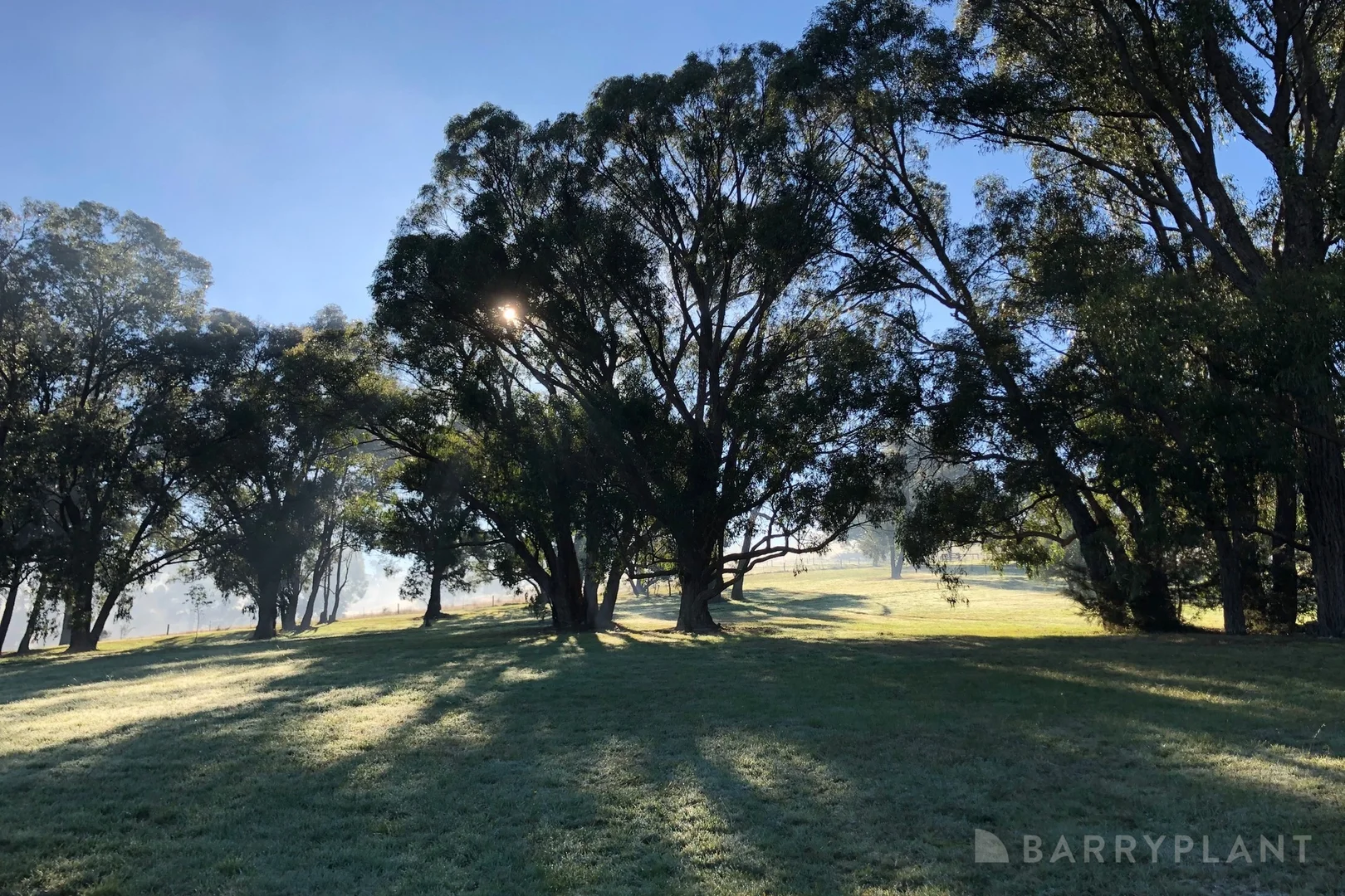 Additional image 16 of 450 Sheepstation Creek Road, Yellingbo VIC 3139