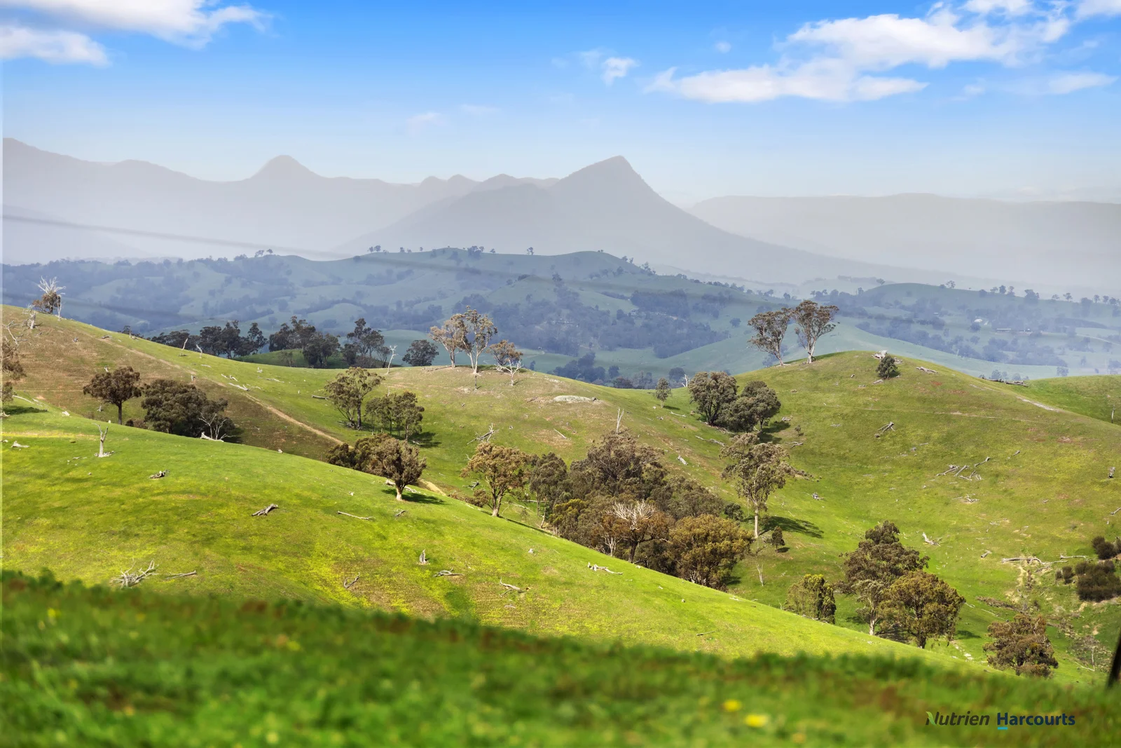 Additional image 17 of 53 Halls Outlet Road, Alexandra VIC 3714