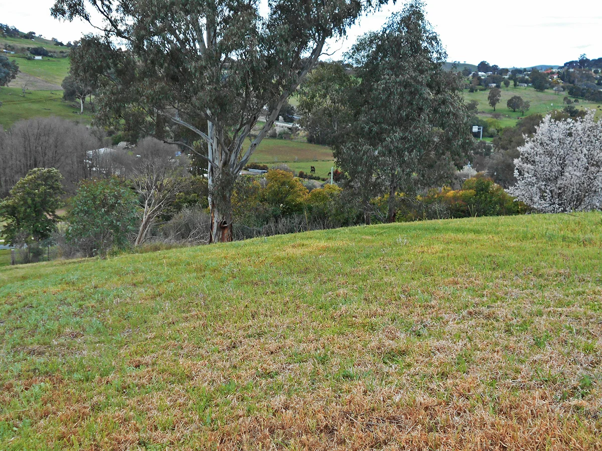 Additional image 26 of 33 Francis Ave, Gundagai NSW 2722