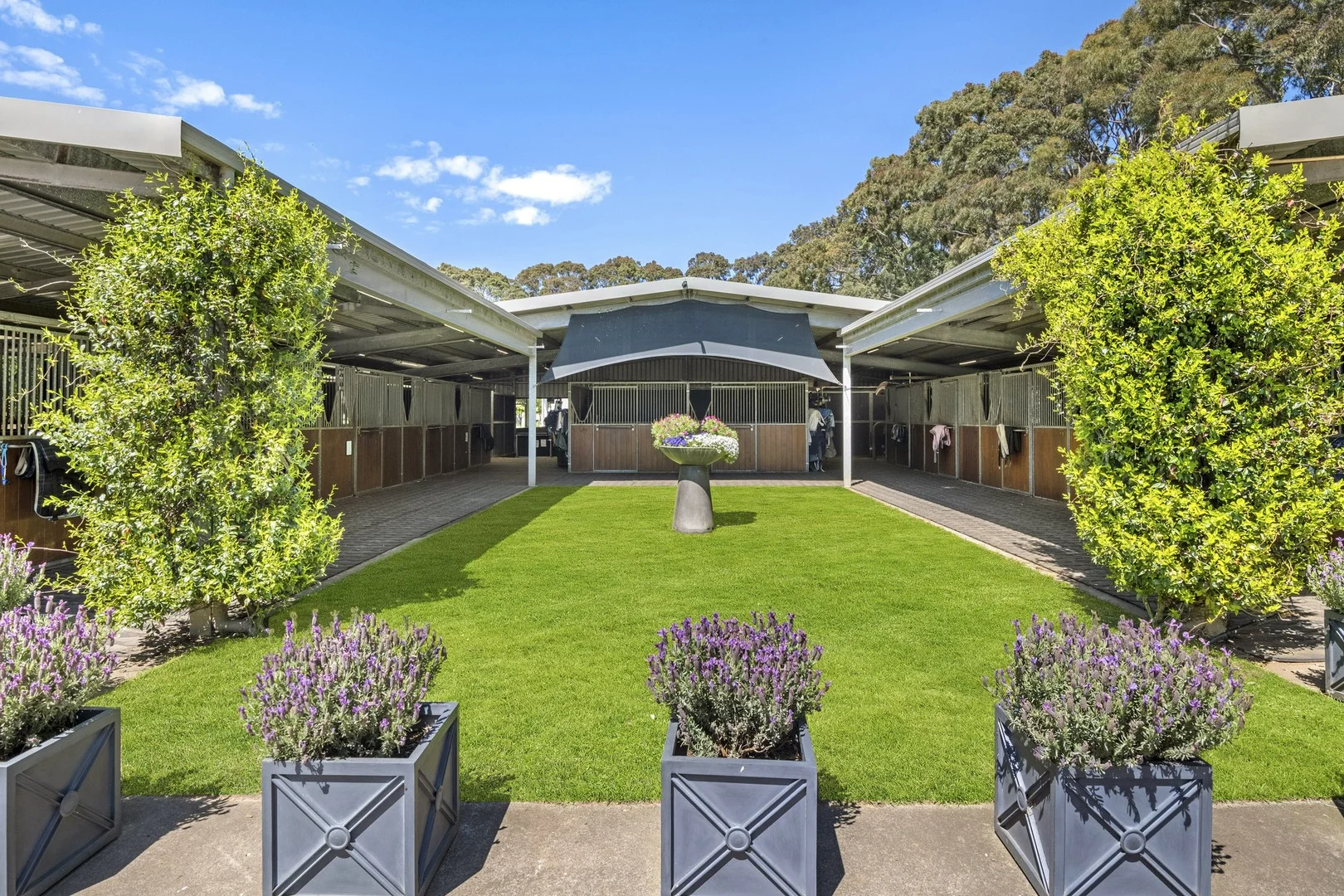 356 Shands Road, Main Ridge VIC 3928