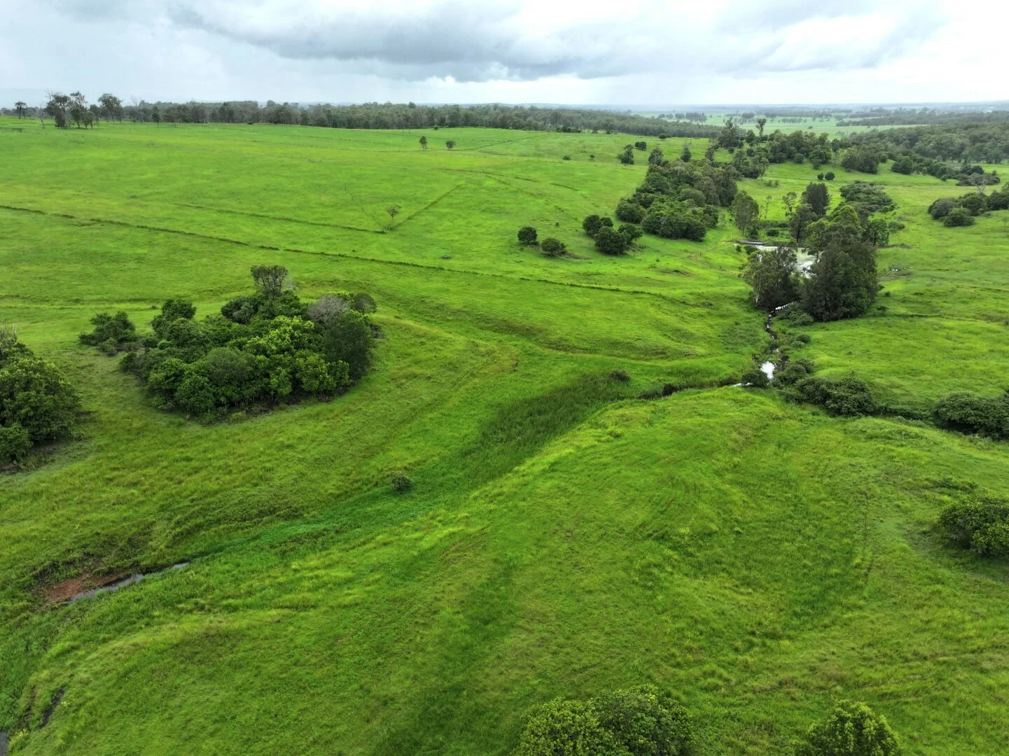 Additional image 15 of 284 Upper Stratheden Road, Kyogle NSW 2474