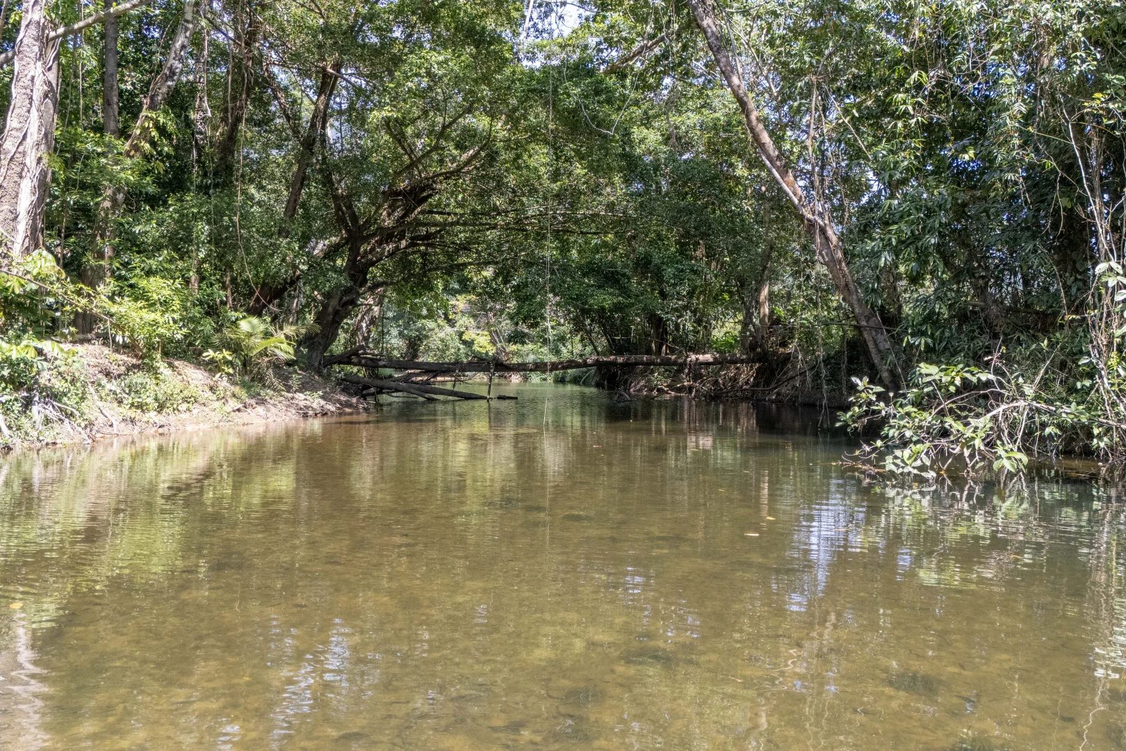 Additional image 22 of 516 Whyanbeel Road, Whyanbeel, Mossman QLD 4873