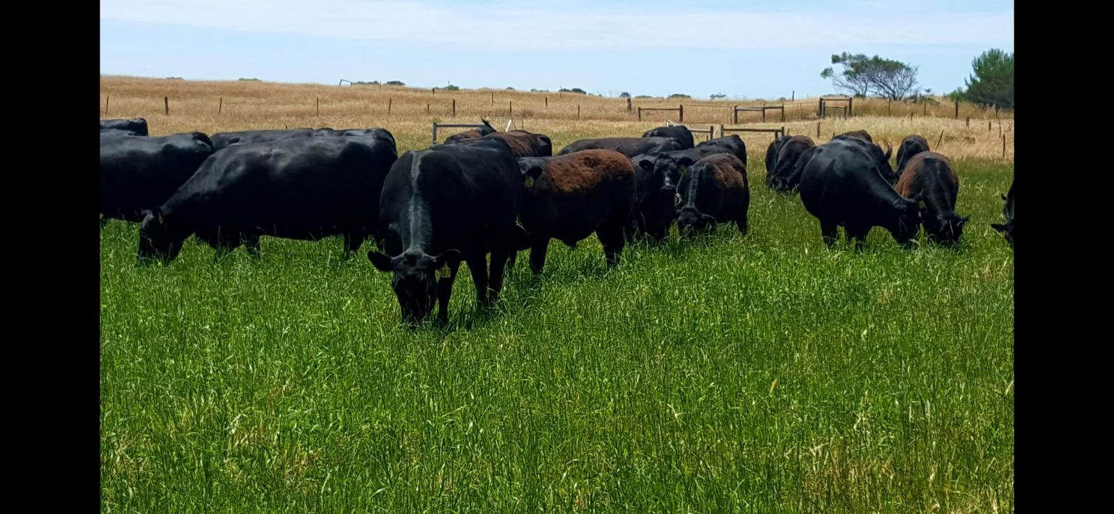 Additional image 30 of 26 Griffin Road, Clayton Bay SA 5256