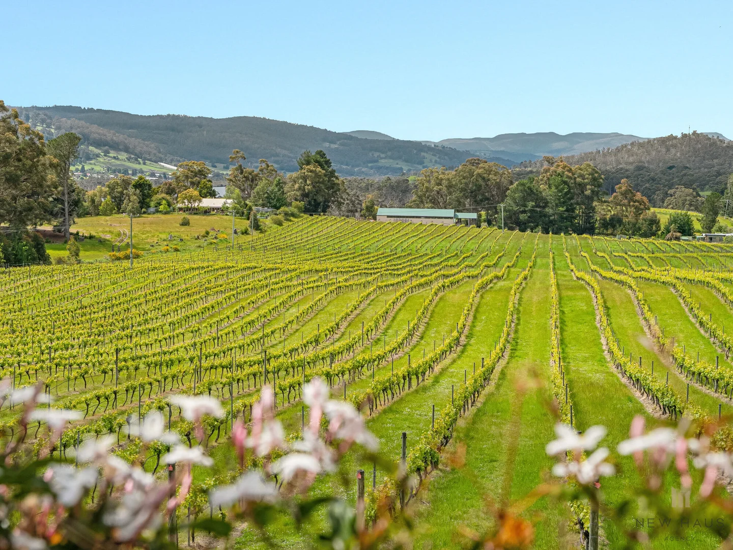 Additional image 3 of 1854 Cygnet Coast Road, Cradoc TAS 7109