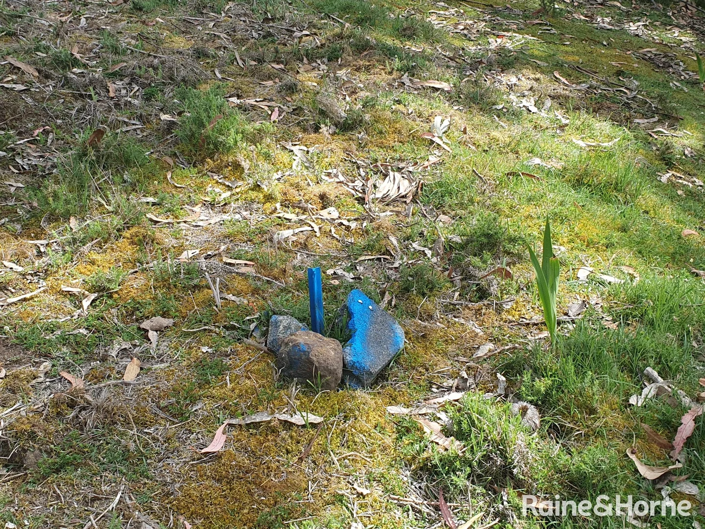 Additional image 3 of 16 & 20 Russell Street, Gordon TAS 7150