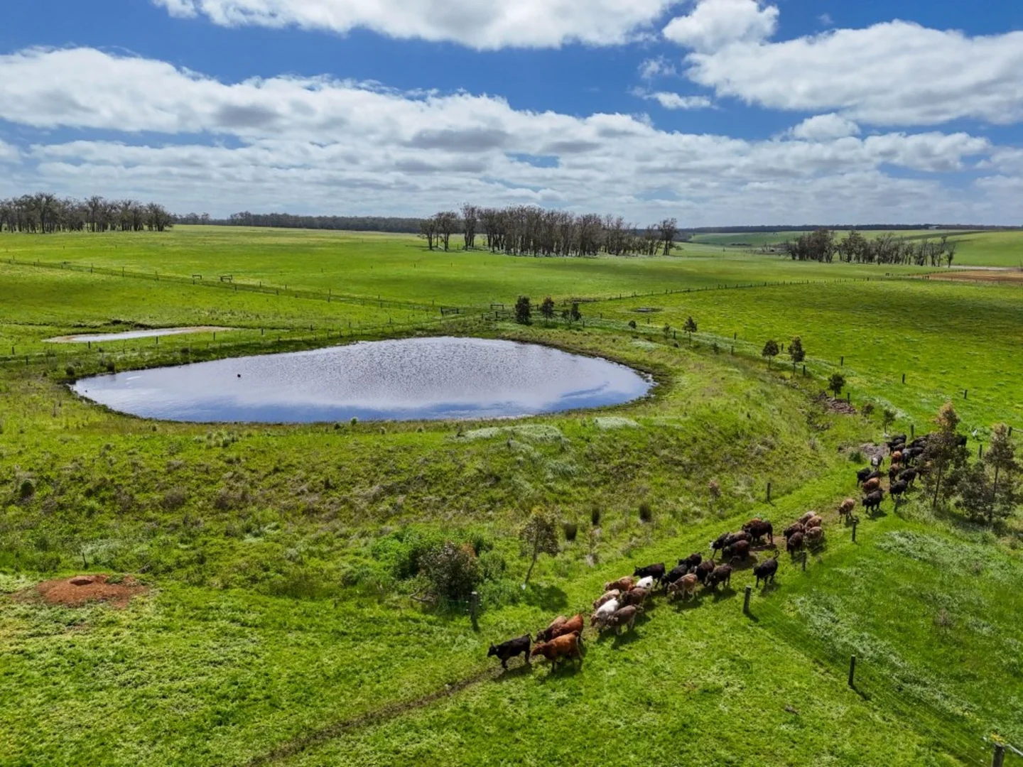 Additional image 16 of 830 Condah-Ettrick Road, Milltown VIC 3304