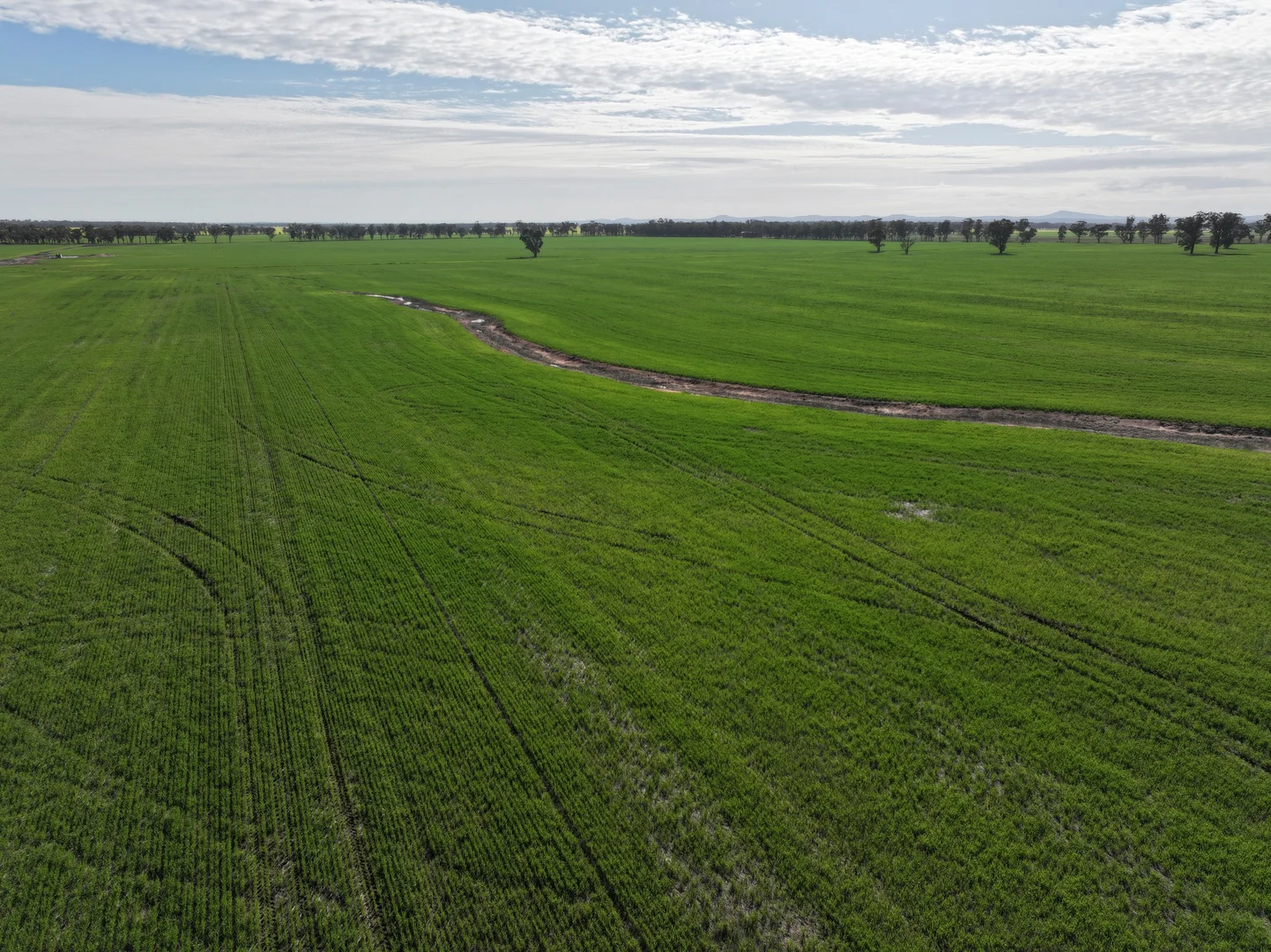 Additional image 5 of Part 'Girraween' Schmidts Lane, Quandary NSW 2665