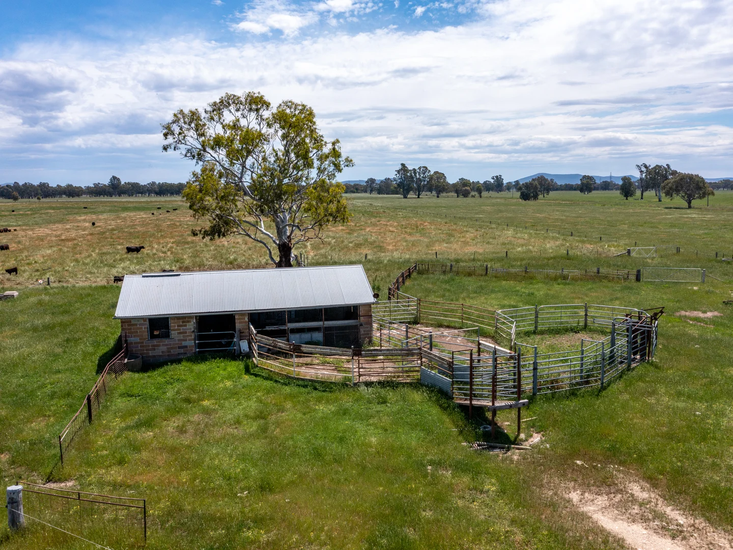 Additional image 13 of 68 Docker-Greta West Road, Docker VIC 3678
