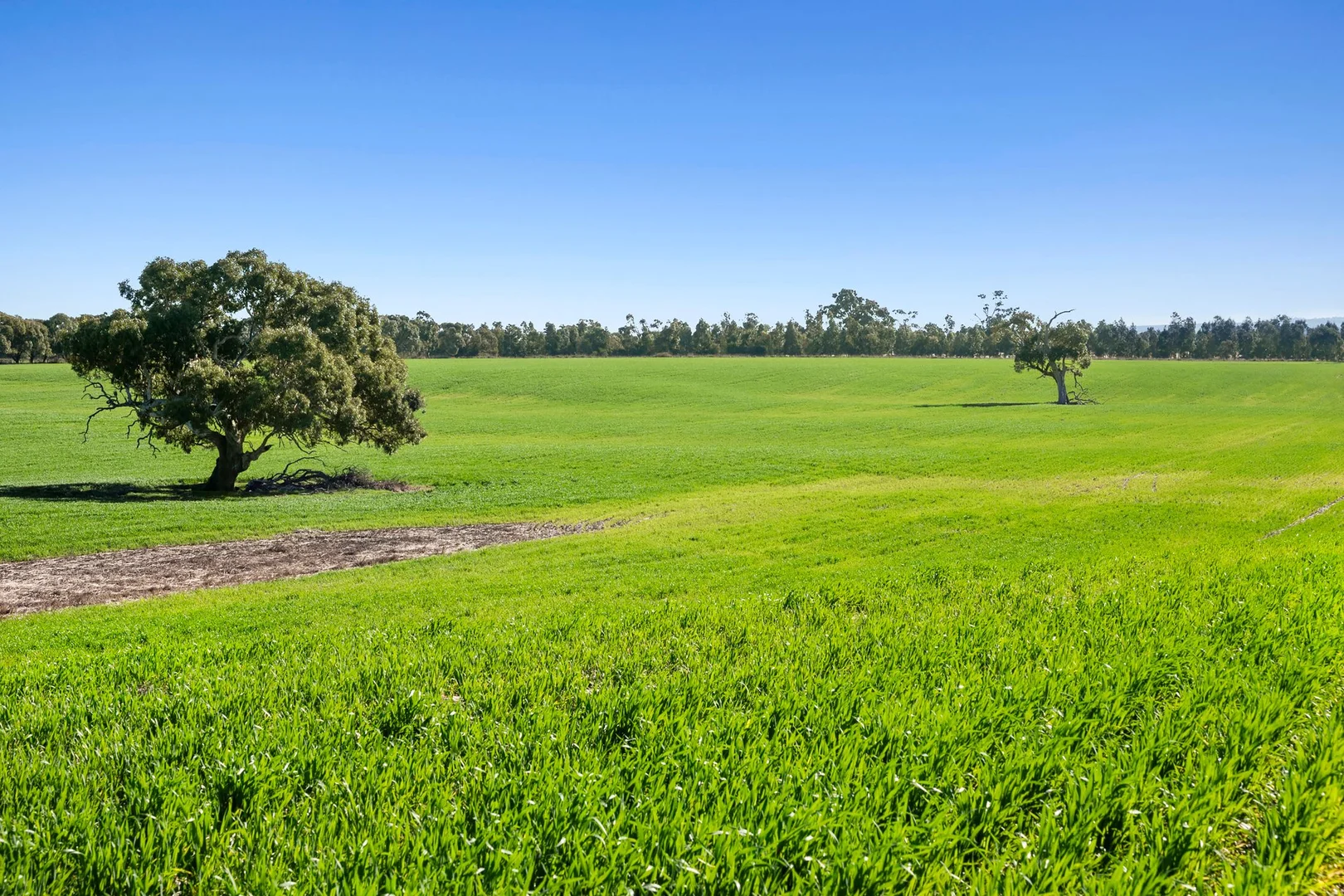 Additional image 10 of 1412 Bannockburn-Shelford Road, Teesdale VIC 3328