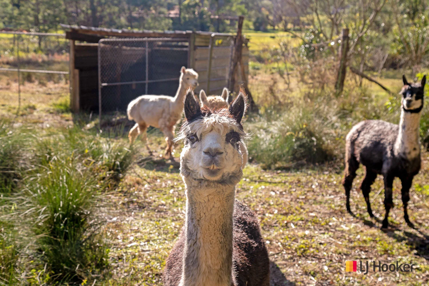 Additional image 31 of 76 Cullendulla Drive, Long Beach NSW 2536