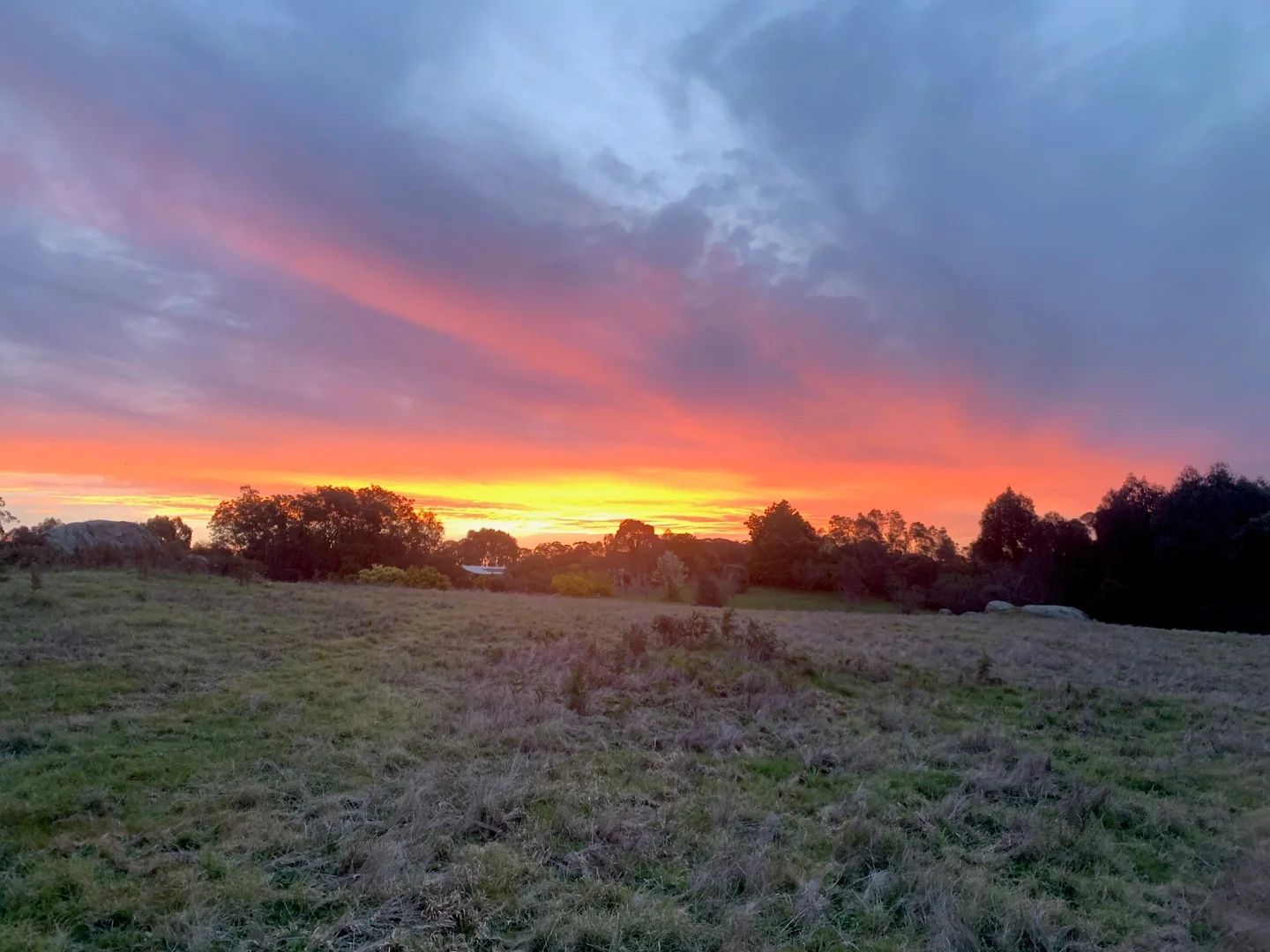 Additional image 30 of 95 Watkins Road, Creek Junction VIC 3669