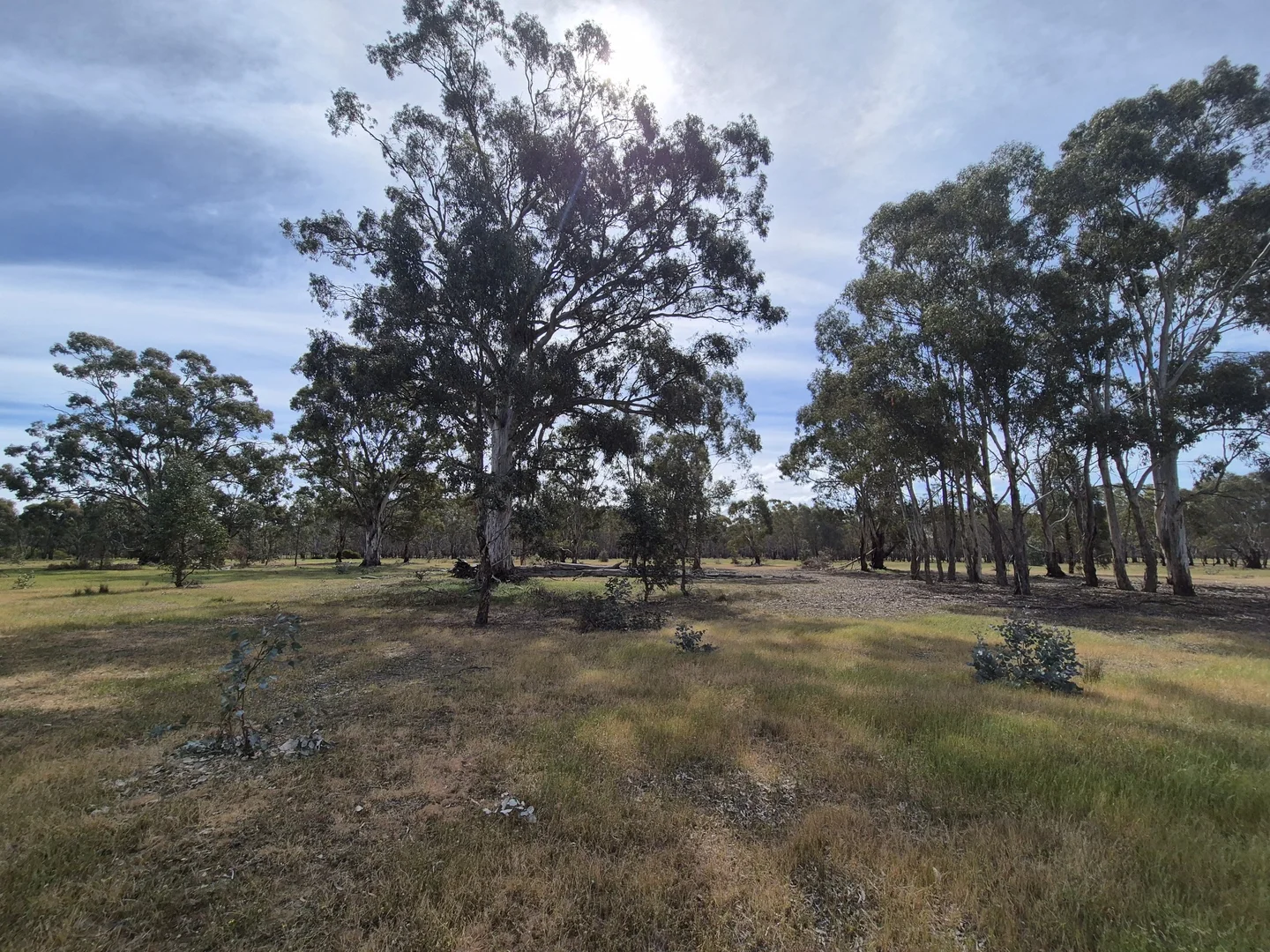 Additional image 44 of 50 Ramage Road, Violet Town VIC 3669