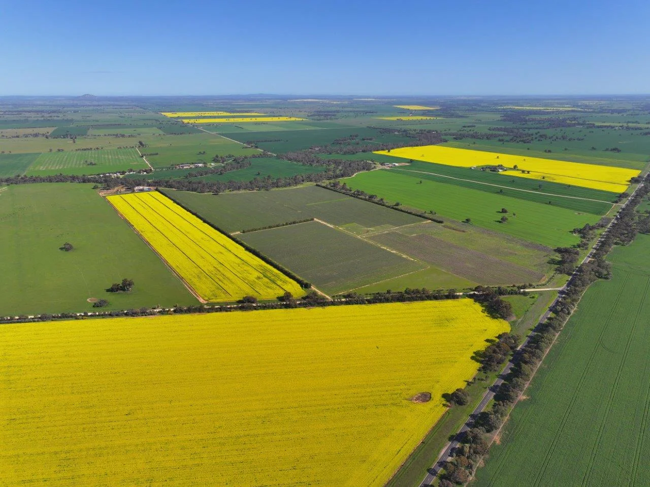 Additional image 15 of 747 Old Bridgewater-Serpentine Road, Serpentine VIC 3517