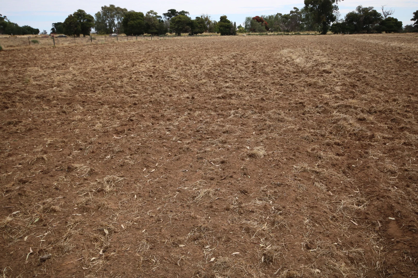 Additional image 9 of 142 Walkers Lane, Barham NSW 2732