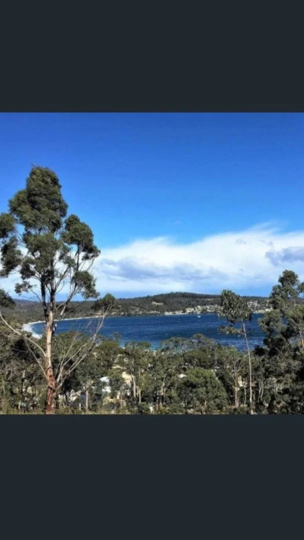 Additional image 6 of 153 White Beach Road, White Beach TAS 7184