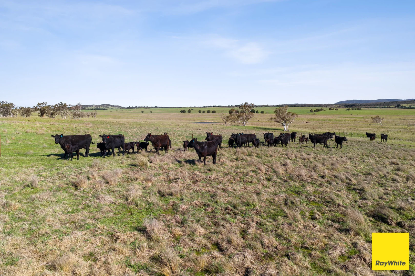 Additional image 36 of 115 Goulburn Road, Mulloon NSW 2622