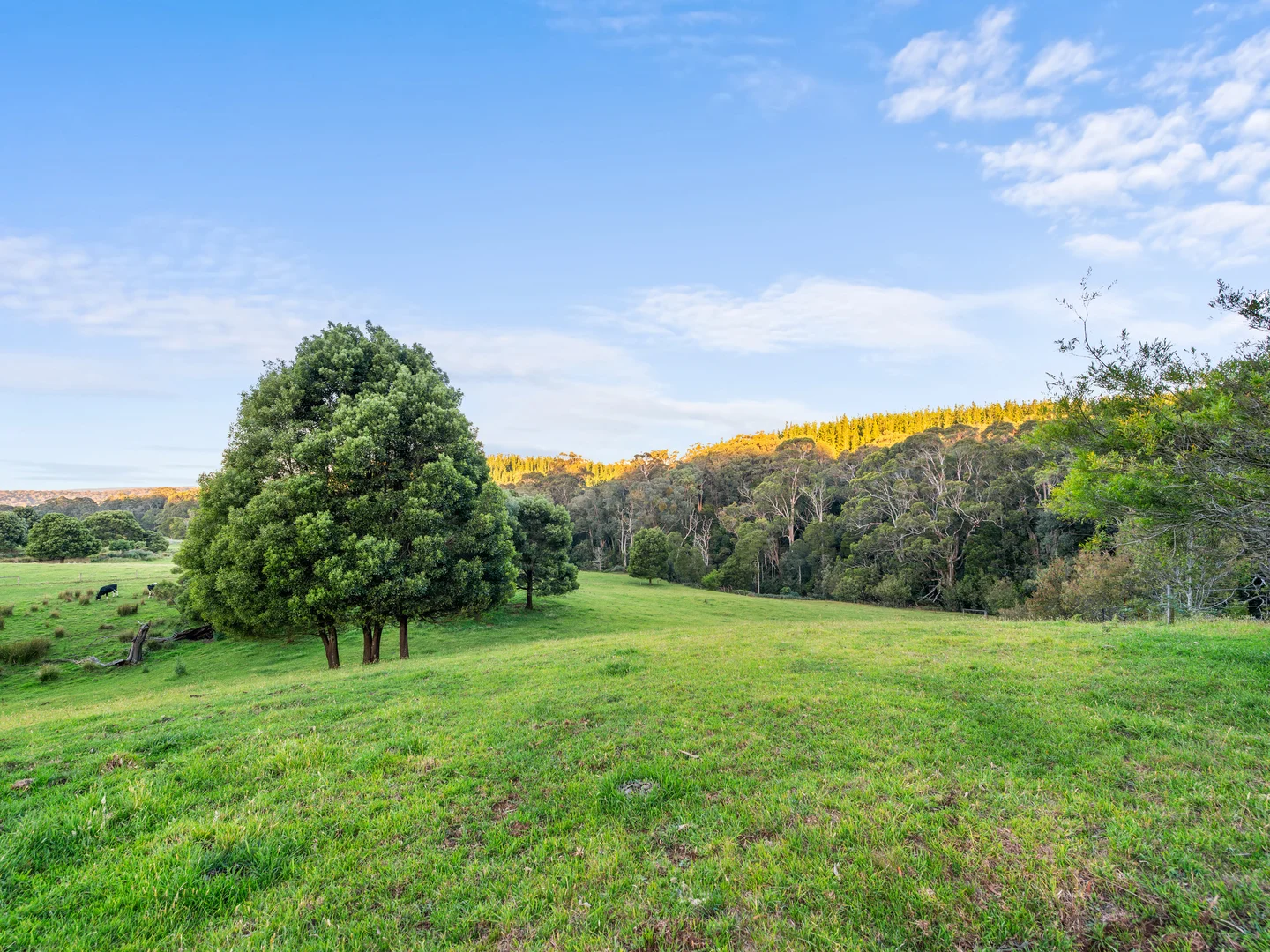 Additional image 31 of 43 Johnsons Lane, Willung South VIC 3847