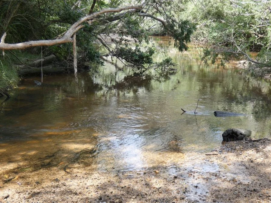 Additional image 4 of 397 Mollenhagens Road, Rosedale QLD 4674