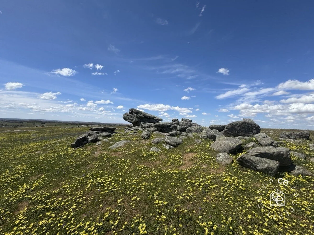 Additional image 14 of Lot 631 Burns Road, Mount Pleasant SA 5235