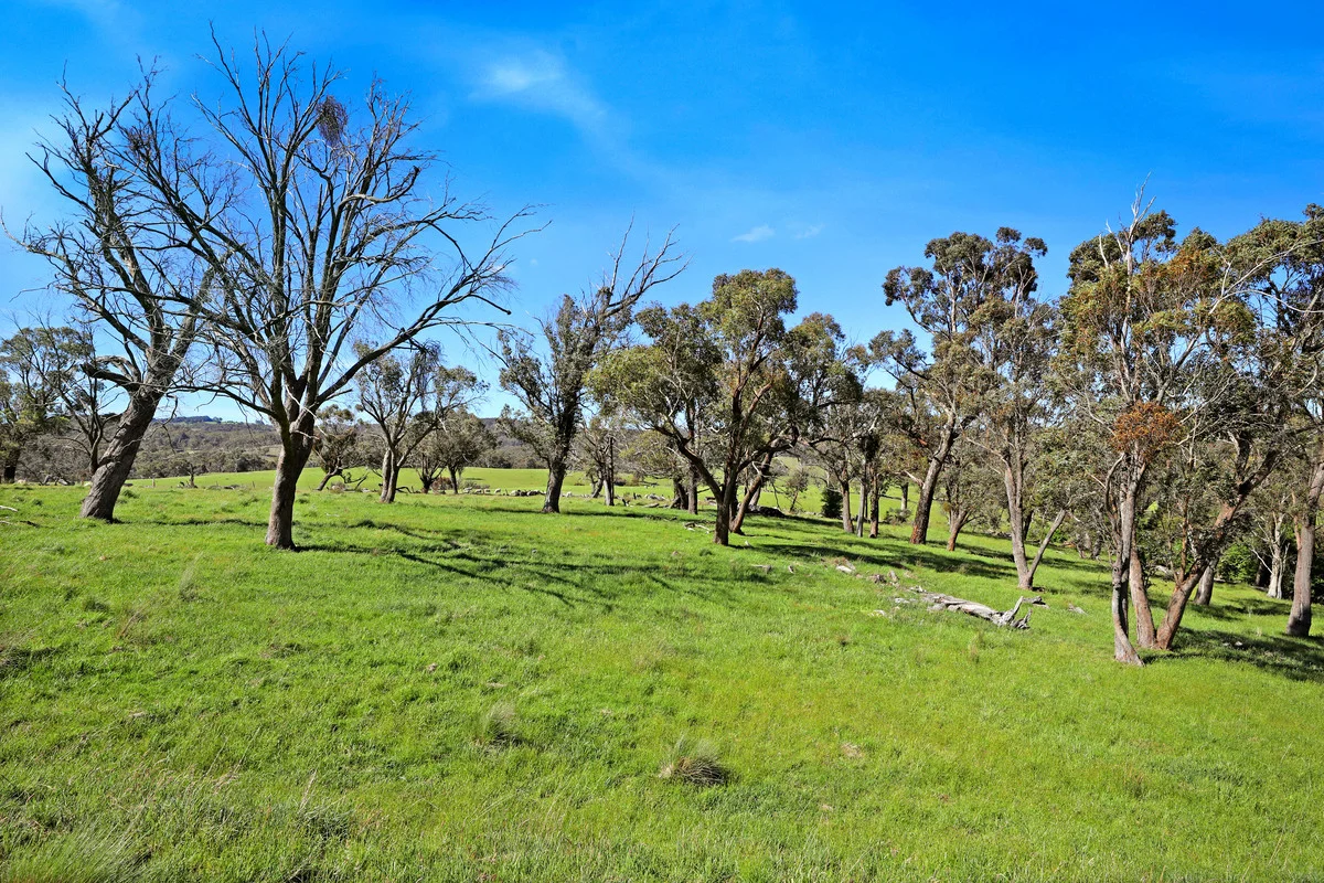 Additional image 23 of 3108 Middle Arm Road, Roslyn, Goulburn NSW 2580