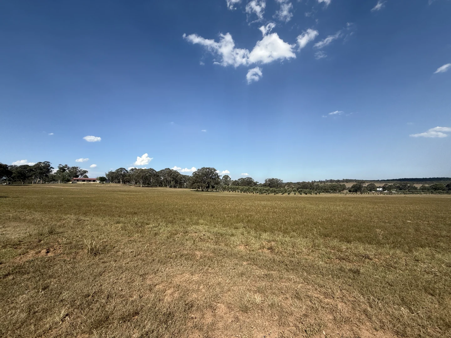 Additional image 50 of 207 Redmanvale Road, Jerrys Plains NSW 2330