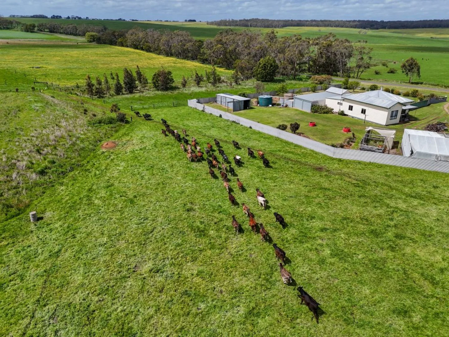 Additional image 15 of 830 Condah-Ettrick Road, Milltown VIC 3304