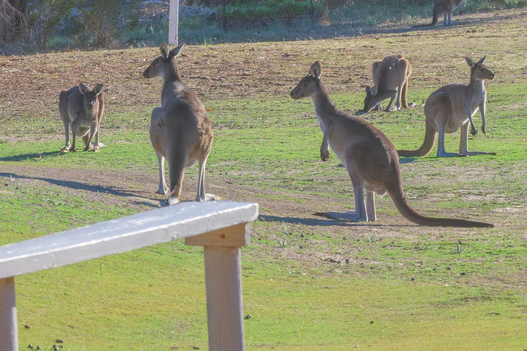 Additional image 5 of 24 Lakeside Terrace, Preston Beach WA 6215