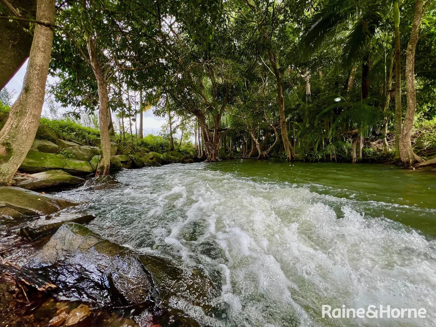 Additional image 18 of 217 Cassowary Road, Cassowary QLD 4873