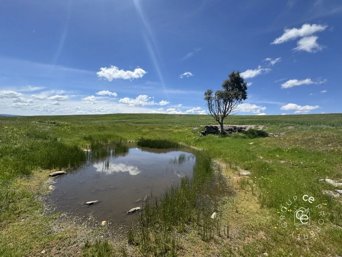 Additional image 15 of Lot 631 Burns Road, Mount Pleasant SA 5235