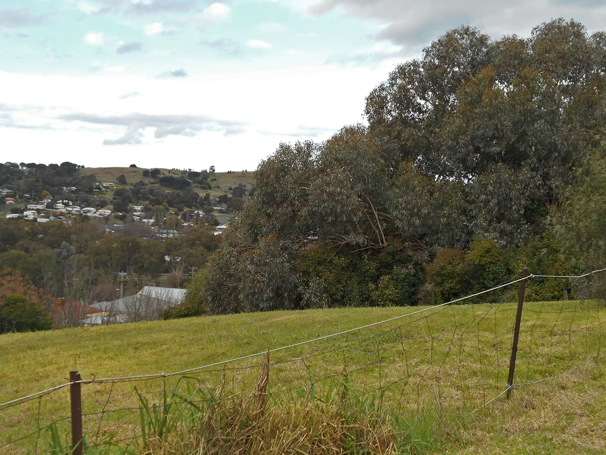 Additional image 19 of 33 Francis Ave, Gundagai NSW 2722