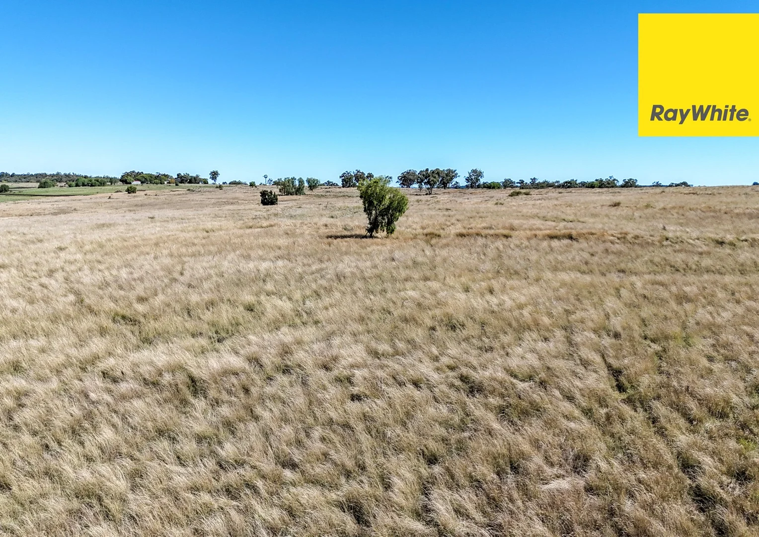 Additional image 13 of 12030 Gwydir Highway, Warialda NSW 2402