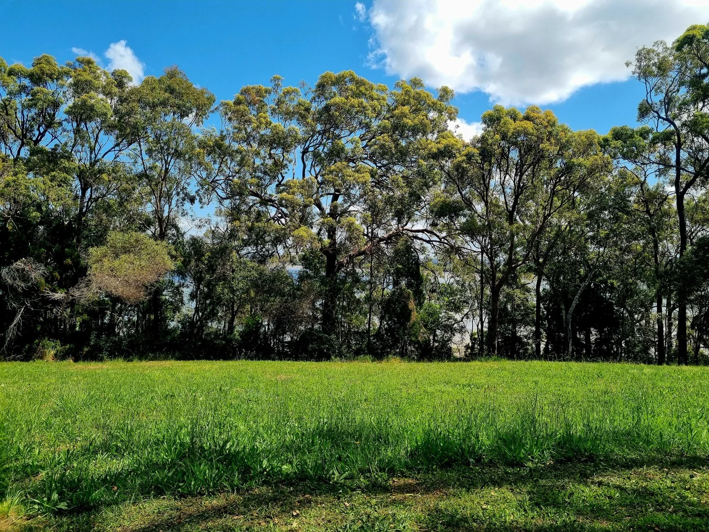 Additional image 4 of 11 Cliff Terrace, Macleay Island QLD 4184