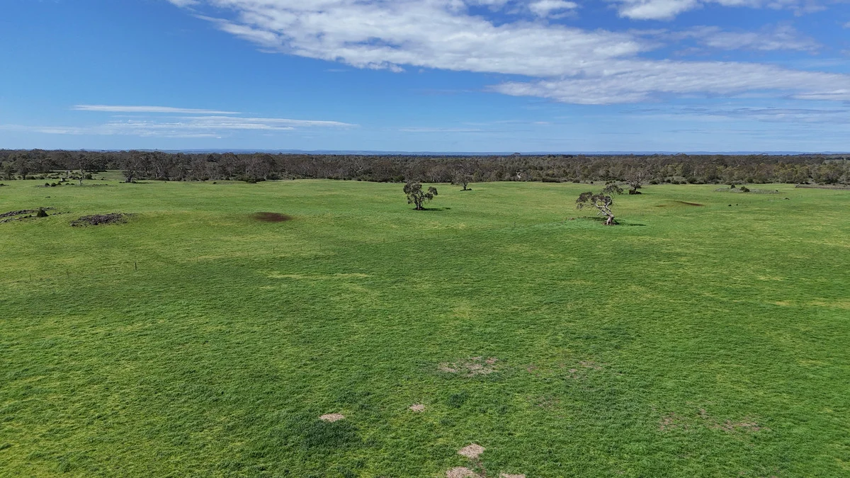 Additional image 9 of 220 Harlocks Road, Pomborneit North VIC 3260