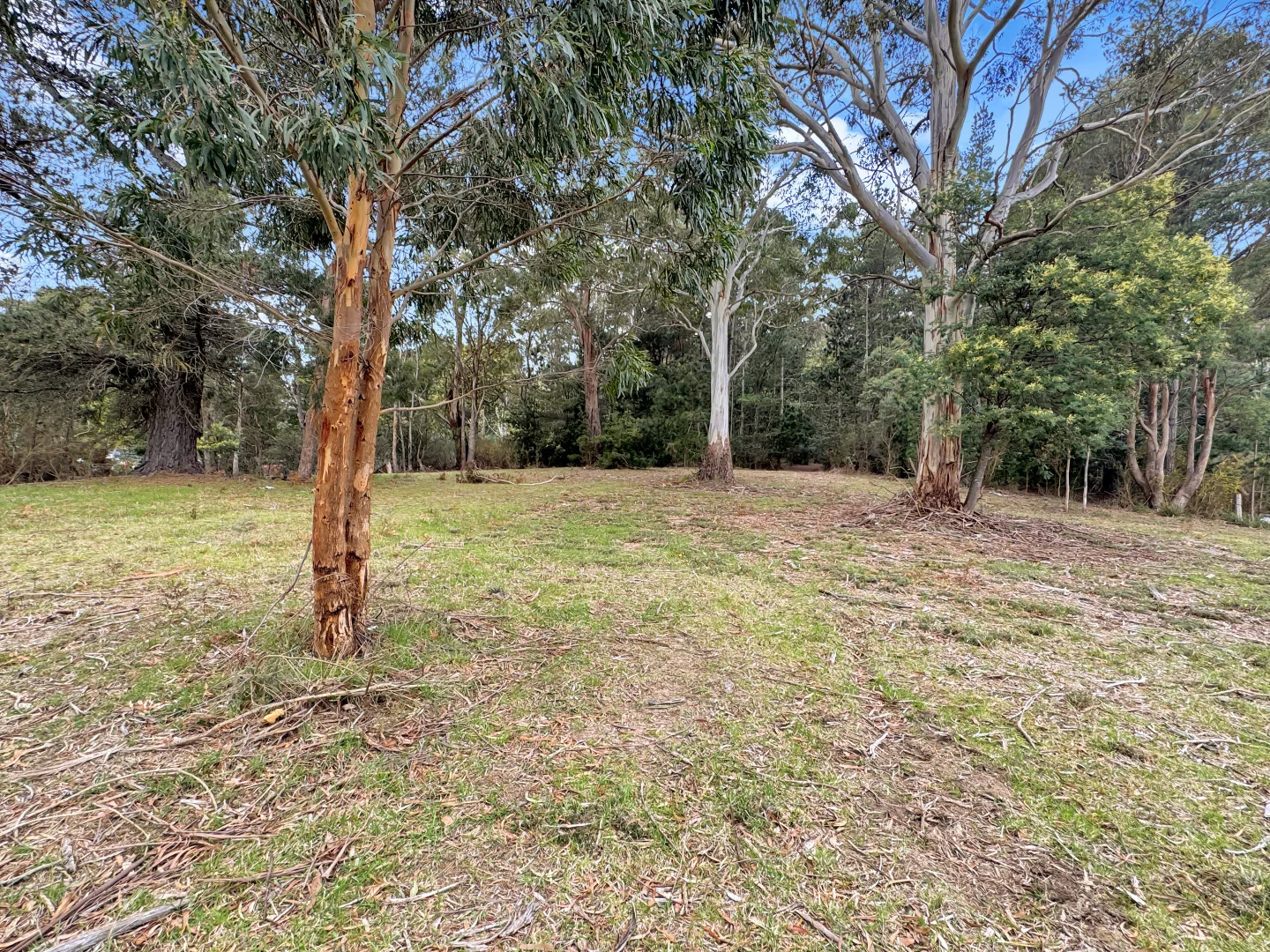 Additional image 13 of 15 Newman Street, St Marys TAS 7215