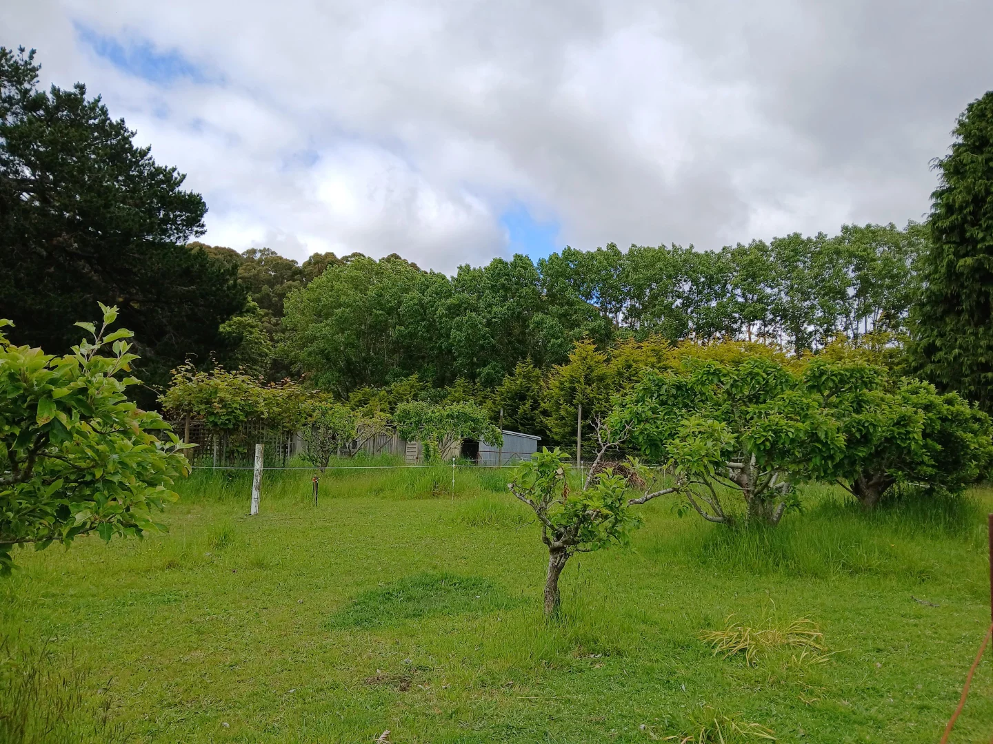 Additional image 32 of 74 Fosters Road, Wynyard TAS 7325