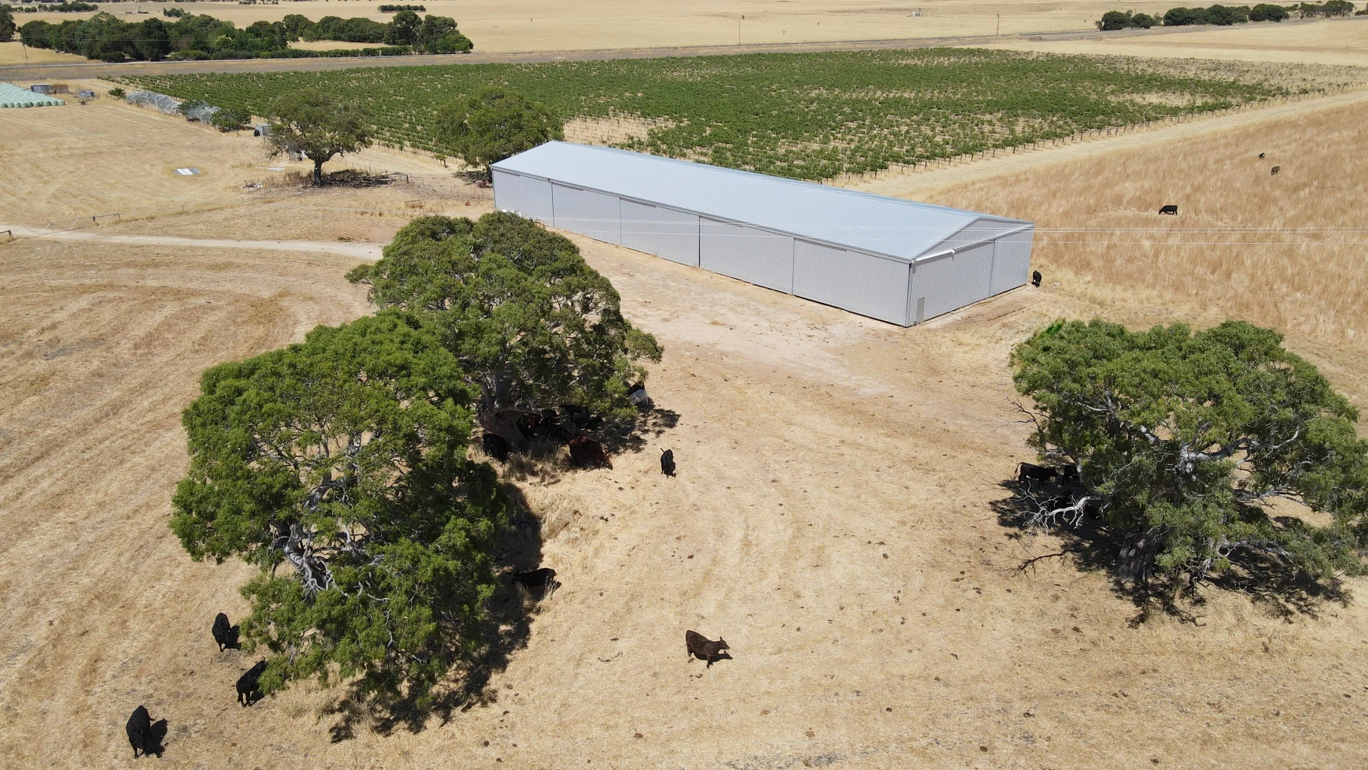 Additional image 14 of 8283 Clay Wells Rd, Penola SA 5277