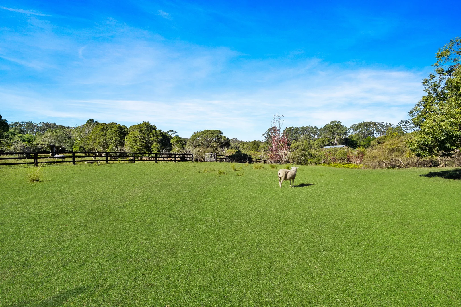 Additional image 3 of 1559 Mandalong Road, Dooralong NSW 2259