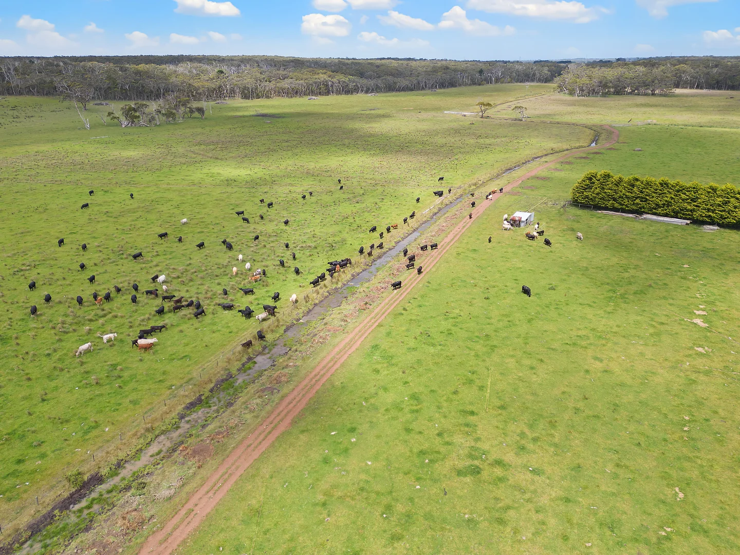 Additional image 9 of 931 Gorae Road, Gorae VIC 3305