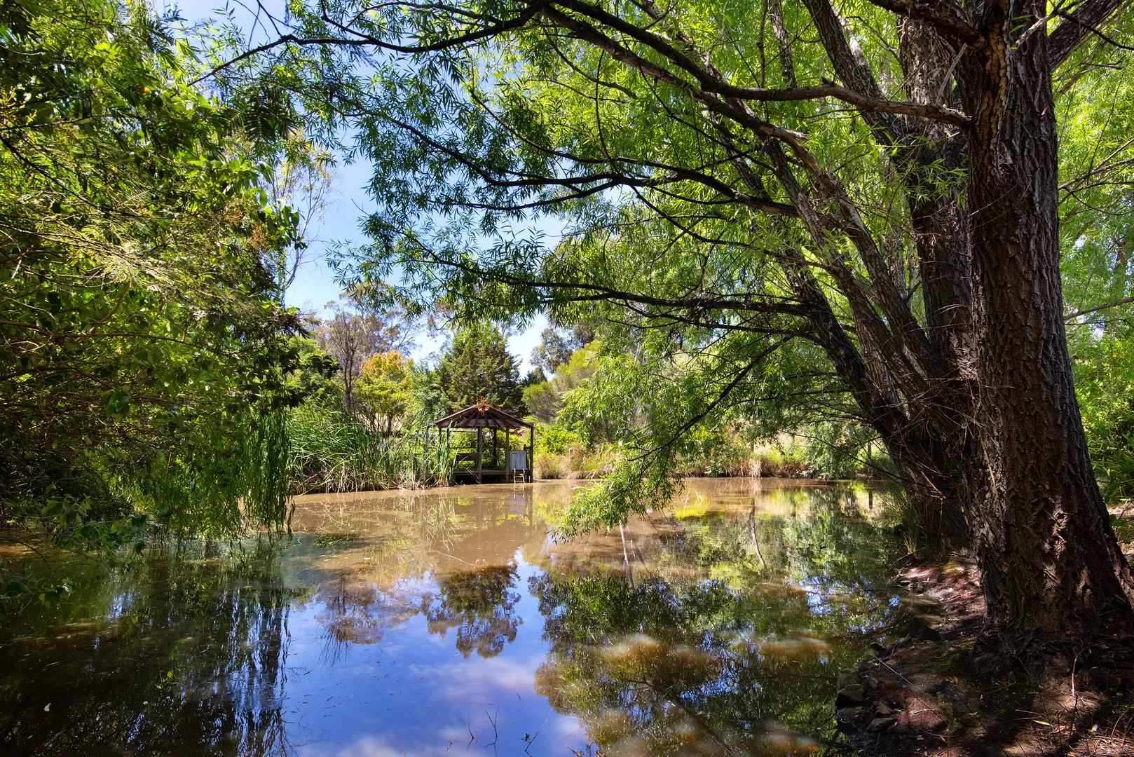 Additional image 5 of 4a Penhallurick Street, Campbells Creek VIC 3451