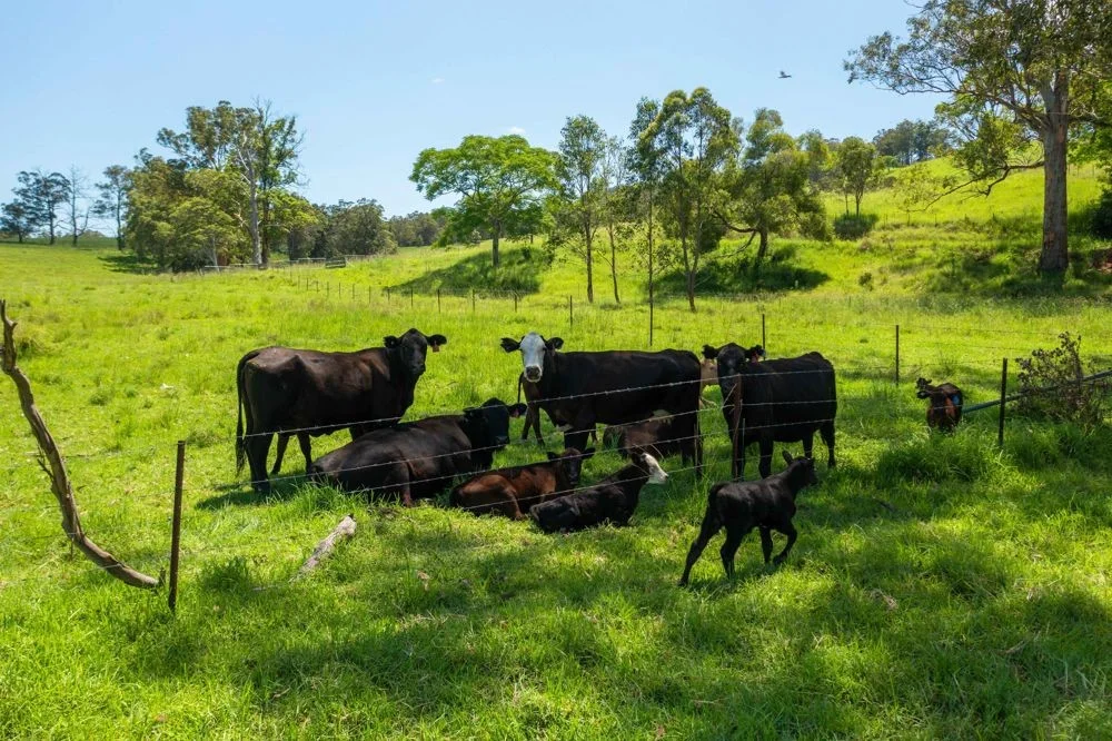 Additional image 4 of 5/310 Yessabah Rd, Yessabah NSW 2440