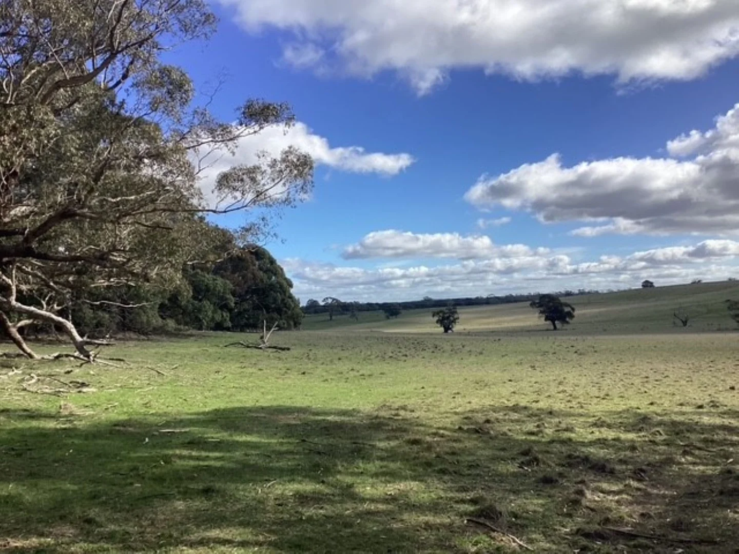 Additional image 8 of 45 Clarendon - Lal Lal Road, Clarendon VIC 3352