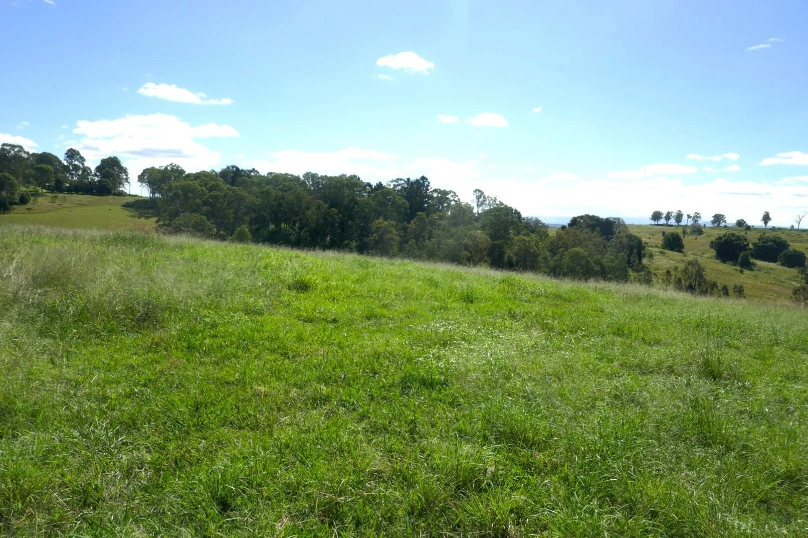 Additional image 13 of 600 Old Dyraaba Road, Casino NSW 2470