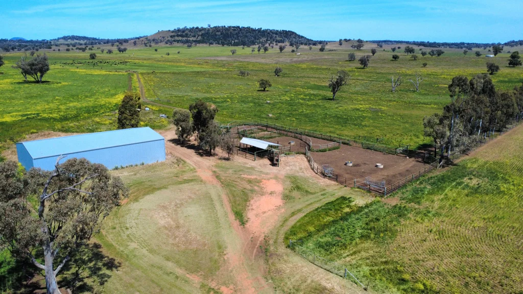 Additional image 11 of Gunnedah NSW 2380