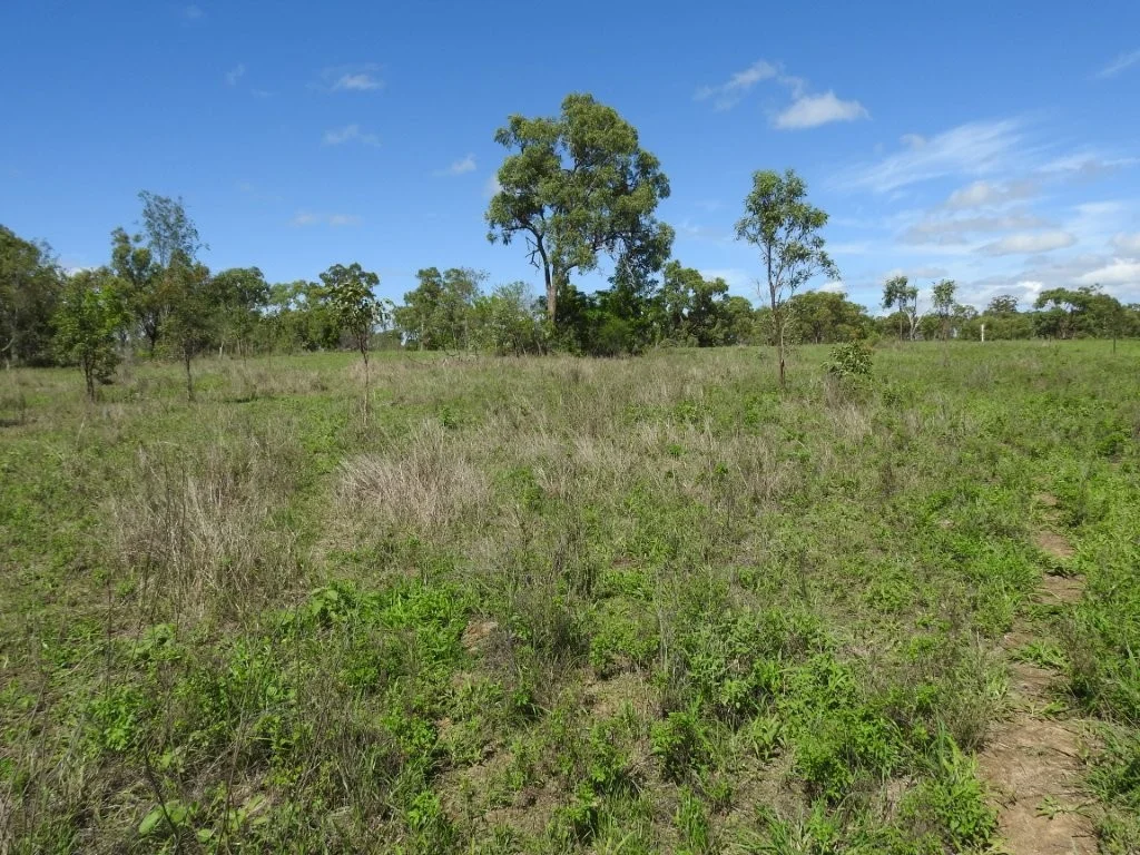 Additional image 23 of Flinders Highway, Breddan QLD 4820